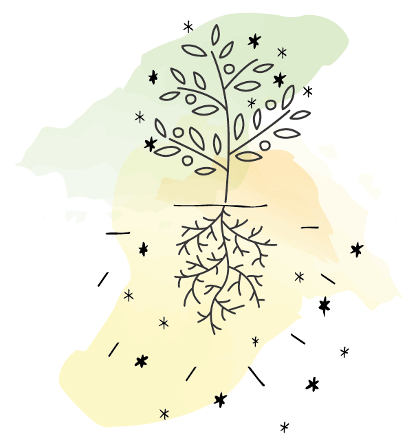 根の張った木のライン