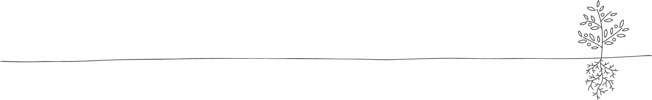 Racine Design ライン